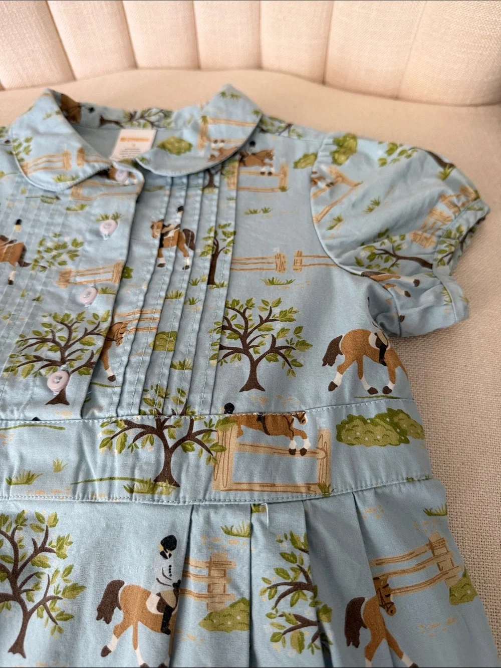 girls 6 Gymboree blue horse equestrian riding dress print club pleated cotton